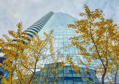 Modern Skyscraper with Autumn Trees