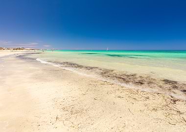 Tropical Beach with Clear Water, Djerba