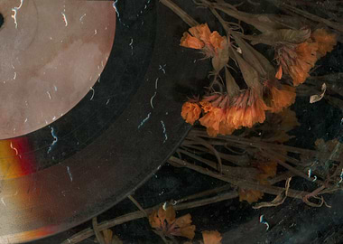 Dried Flowers on Vinyl