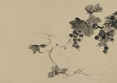 Ink Painting of Grapes