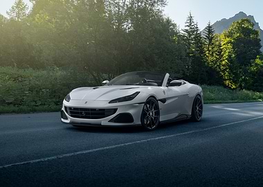White Ferrari Portofino