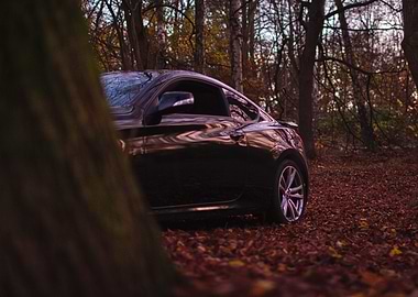 Black Coupe in Autumn Woods