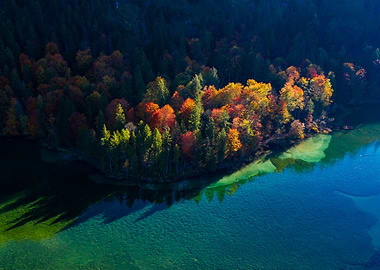 Autumn Morning at Almsee in Austria