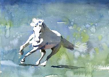 White Horse Running Watercolor