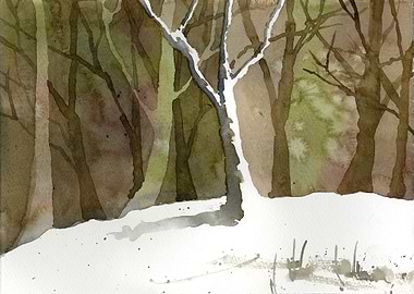 Winter Woodland Watercolor