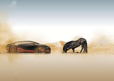 Black Car and Horse in Desert
