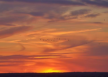 Sunset Sky with Birds