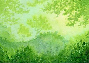 Vibrant Green Forest