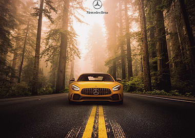 Yellow Mercedes in Forest