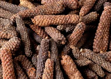 Long Peppercorns