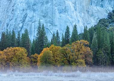 Yosemite Valley Fog