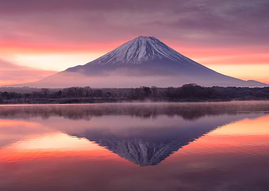 Mount Fuji Reflection