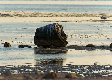 Single Rock on Beach