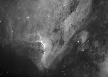 Pelican Nebula in Black and White