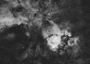 FishHead Nebula in Space