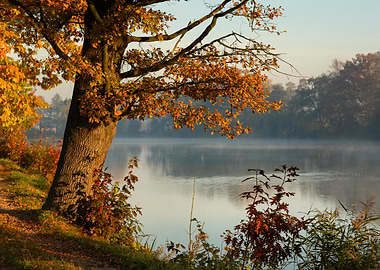 Autumn Lake Scene