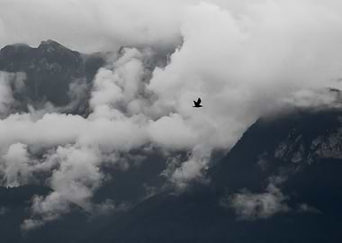 Bird Flying Over Mountains