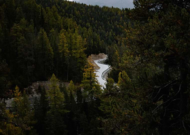 Winding Road Through Forest