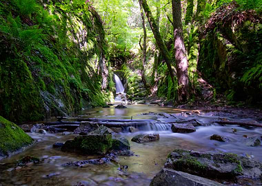 Waterfall in the forest