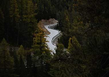 Winding Road Through Forest