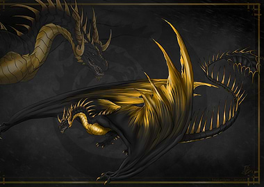 Black and Gold Dragon