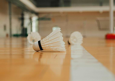 Badminton Shuttlecocks