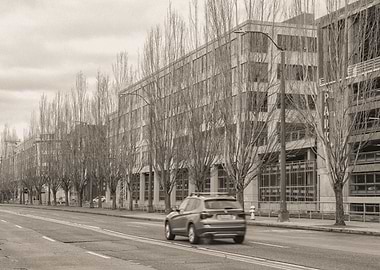 City Street with Trees