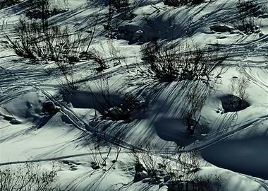 Snowy Landscape with Tracks