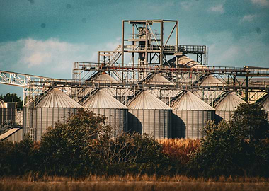 Industrial Grain Silos