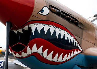Shark Mouth Plane Nose Art