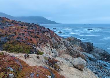 Coastal Landscape with Fog