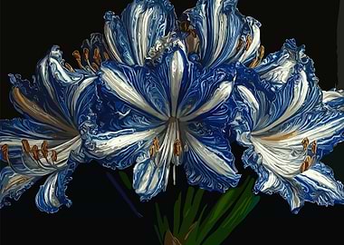 Blue and White Flower