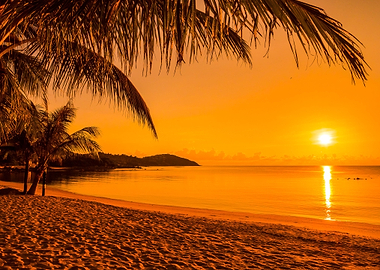 Tropical Sunset Beach