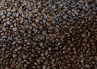 Roasted Coffee Beans