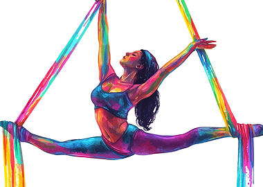 Aerial Silk Performance