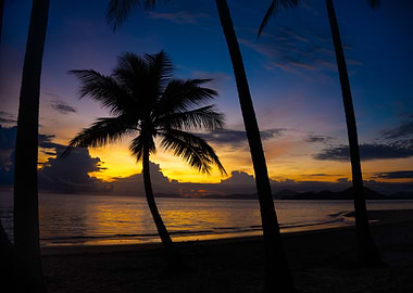 Tropical Sunset Silhouette
