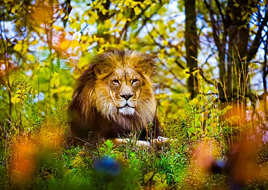 Majestic Lion in Autumn Forest