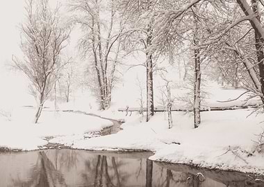 Snowy Creek in Winter