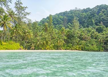 Tropical Beach Paradise