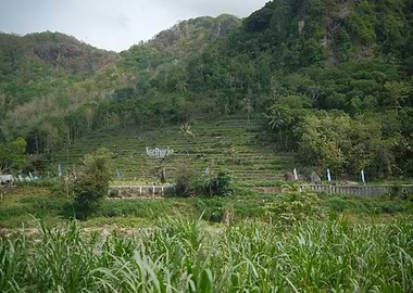 Green Hills and Terraces