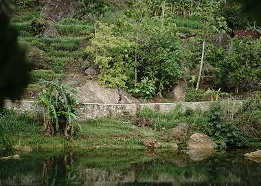 Tropical River Landscape