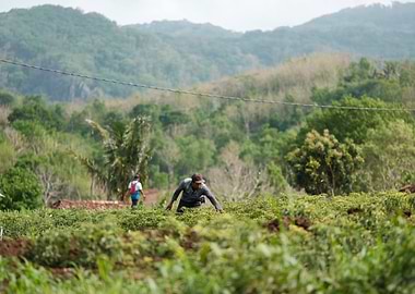 Man Working in Green Field