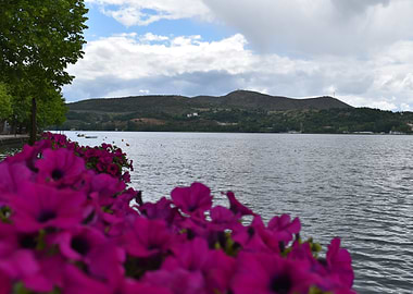 Lake View with Flowers