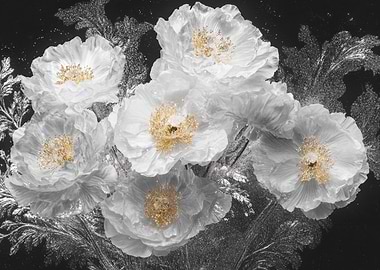 White Flowers on Black