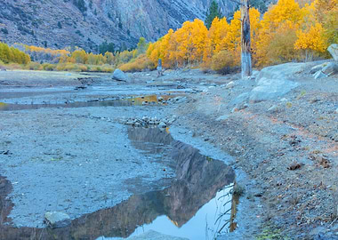 Autumn Reflection in a Creek