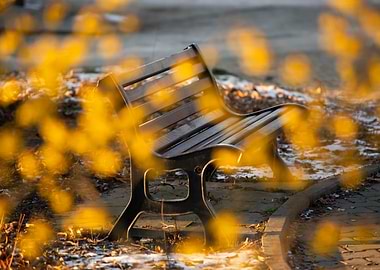 Park Bench in Winter