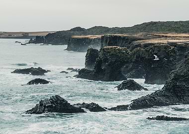 Icelandic Coastline