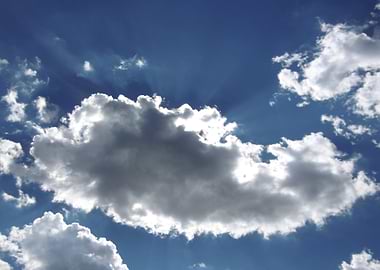 sun light filtering through