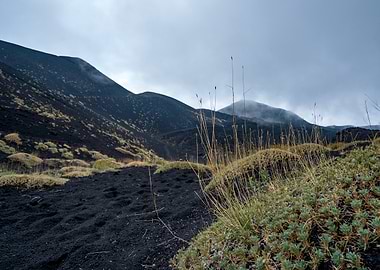 Volcanic Landscape (Etna)