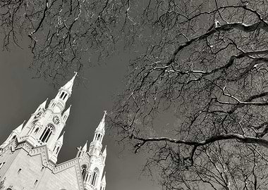 Church Towers and Bare Branches
